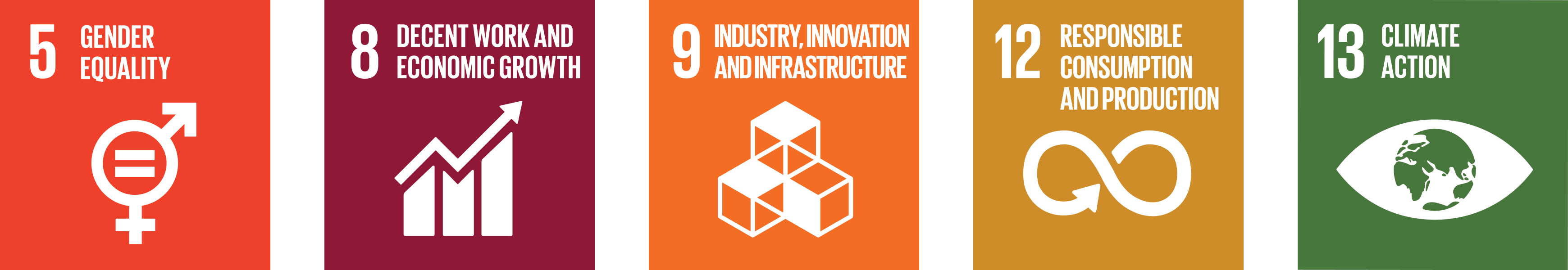 Five colored panels display icons and text representing UN Sustainable Development Goals 5, 8, 9, 12, and 13.