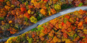 A car drives along a winding road surrounded by dense forest with vibrant autumn foliage in shades of red, orange, and yellow.