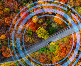 A car drives down a road surrounded by autumn trees, with blue digital concentric circles superimposed over the image, symbolizing CO2-Reduzierung in der Lieferkette.
