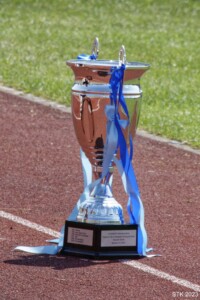 In the end, the winner was Hartmann Consultants.